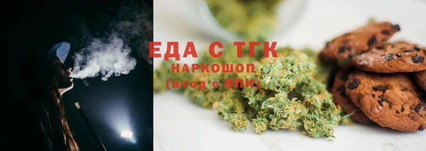 индика Богданович